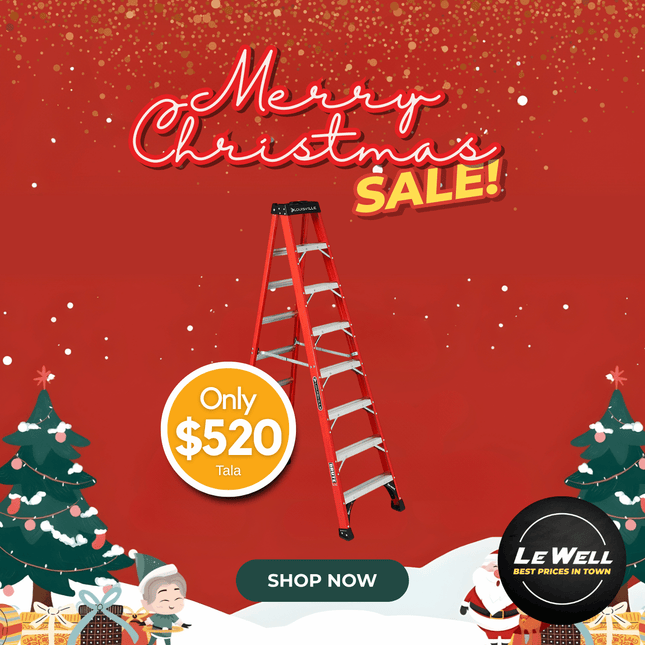 Ladder Fiberglass 6 Steps (PICK UP FROM LE WELL COMPANY SAVALALO ONLY)