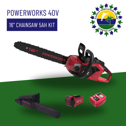 Powerworks 40V 16" Chainsaw 5AH Kit