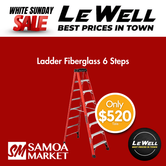 Ladder Fiberglass 6 Steps (PICK UP FROM LE WELL COMPANY SAVALALO ONLY)