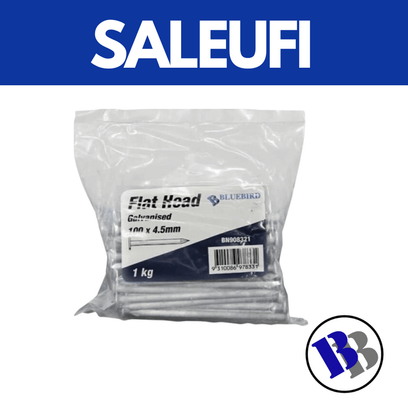 Nail Flathead 25mmx1kg (1") - Substitute if sold out  - "PICKUP FROM BLUEBIRD LUMBER SALEUFI"