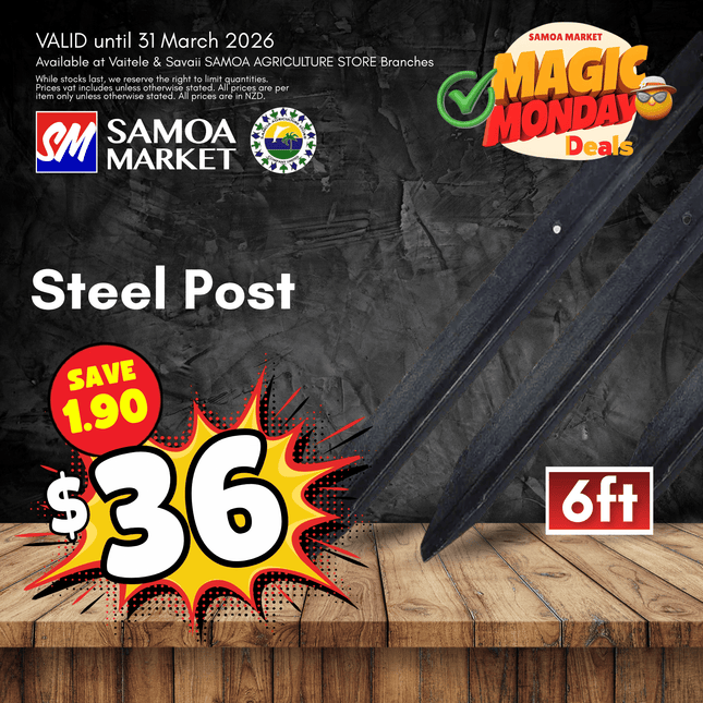MAGIC MONDAY! Steel Post 6 Foot