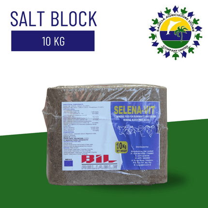 Salt Block 10 KG - Samoamarket.com
