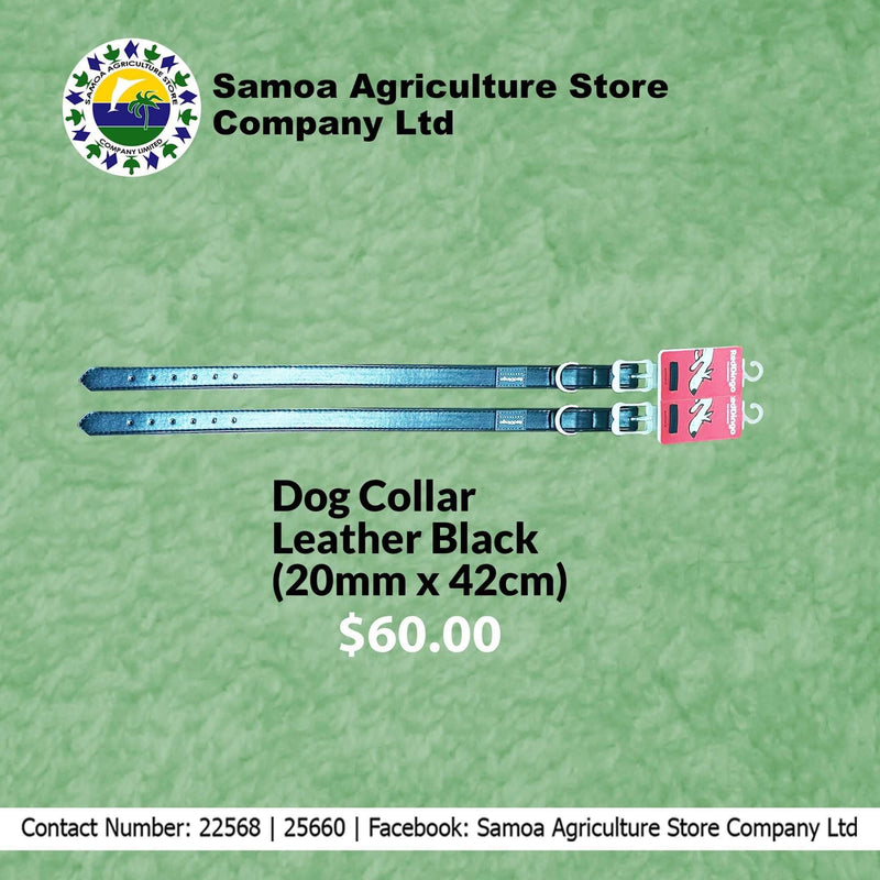 Dog Collar Black Leather "PICK UP AT SAMOA AGRICULTURE STORE CO LTD VAITELE AND SALELOLOGA SAVAII" Samoa Agriculture Store Company Ltd 