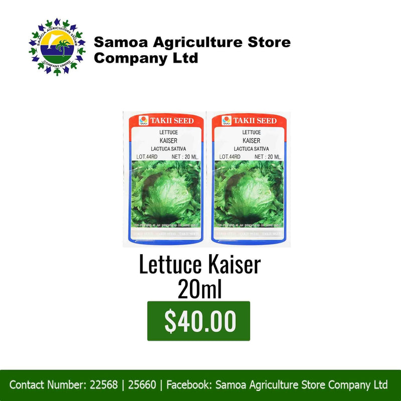 Lettuce Kaiser 20ml "PICK UP AT SAMOA AGRICULTURE STORE CO LTD VAITELE AND SALELOLOGA SAVAII" Samoa Agriculture Store Company Ltd 