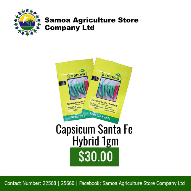 Capsicum Santa Fe Hybrid 1gm "PICK UP AT SAMOA AGRICULTURE STORE CO LTD VAITELE AND SALELOLOGA SAVAII" Samoa Agriculture Store Company Ltd 