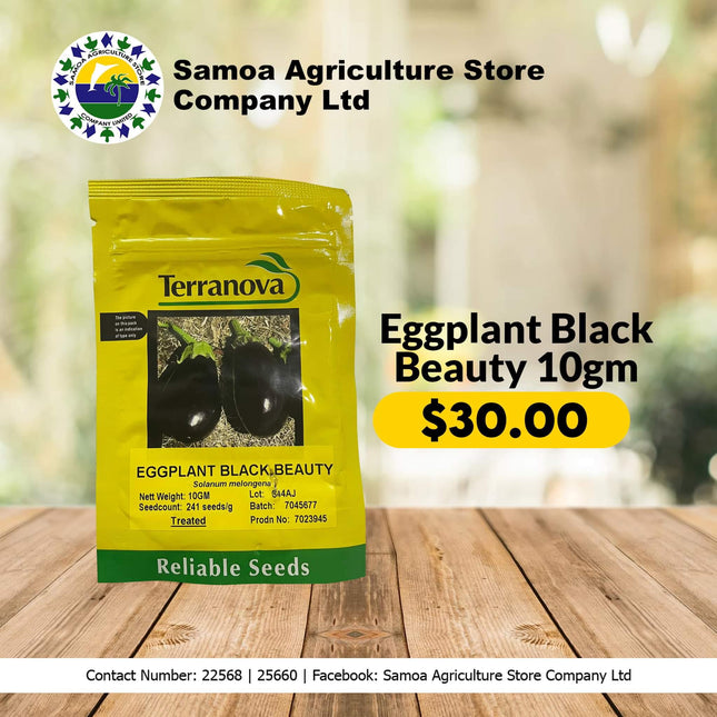 Eggplant Black Beauty 10gm "PICK UP AT SAMOA AGRICULTURE STORE CO LTD VAITELE AND SALELOLOGA SAVAII" Samoa Agriculture Store Company Ltd 