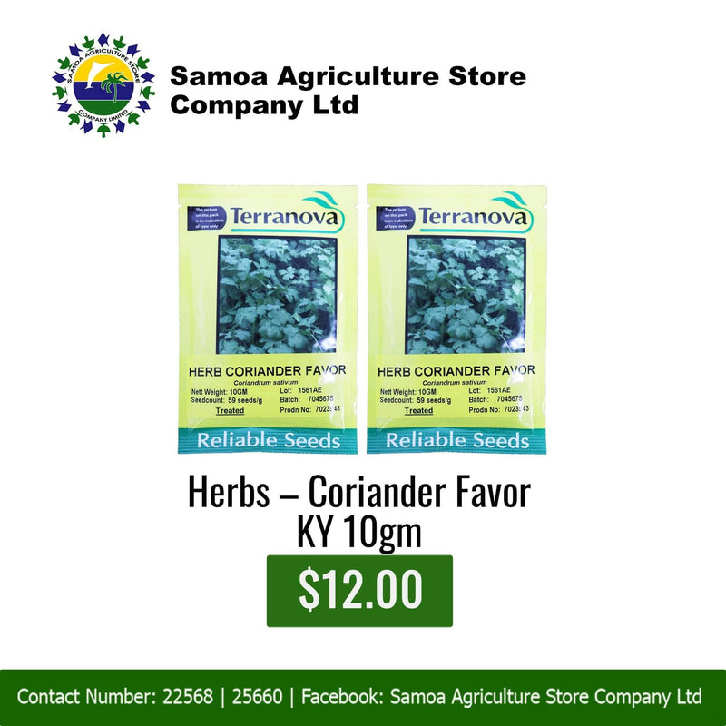 Herbs-Coriander Favor KY 10gm"PICK UP AT SAMOA AGRICULTURE STORE CO LTD VAITELE AND SALELOLOGA SAVAII" Samoa Agriculture Store Company Ltd 