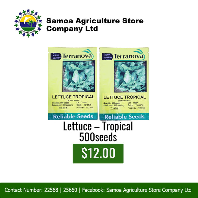 Lettuce-Tropical 500seeds "PICK UP AT SAMOA AGRICULTURE STORE CO LTD VAITELE AND SALELOLOGA SAVAII" Samoa Agriculture Store Company Ltd 