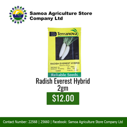 Radish Everest Hybrid 2gm "PICK UP AT SAMOA AGRICULTURE STORE CO LTD VAITELE AND SALELOLOGA SAVAII" Samoa Agriculture Store Company Ltd 