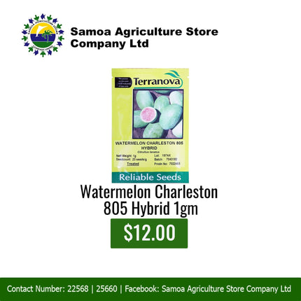 Watermelon Charleston 805 Hybrid 1gm "PICK UP AT SAMOA AGRICULTURE STORE CO LTD VAITELE AND SALELOLOGA SAVAII" Samoa Agriculture Store Company Ltd 