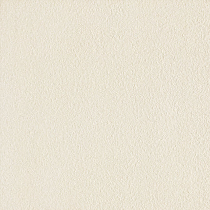 Tile Floor Ceramic Glossy 600 x 600mm (24' x 24') 4pc IVORY WHT JA6000 - Substitute if sold out "PICKUP FROM BLUEBIRD LUMBER & HARDWARE" Bluebird Lumber 