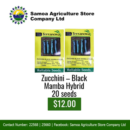 Zucchini-Black Mamba Hybrid 20 seeds "PICK UP AT SAMOA AGRICULTURE STORE CO LTD VAITELE AND SALELOLOGA SAVAII" Samoa Agriculture Store Company Ltd 