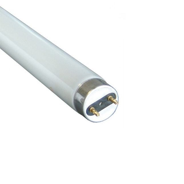 FLUORESCENT TUBE 2ft MASPION - GIE - Substitute if sold out "PICKUP FROM BLUEBIRD LUMBER & HARDWARE" - Samoamarket.com