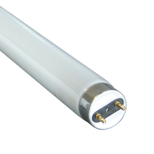 FLUORESCENT TUBE 4ft MASPION - GIE - Substitute if sold out "PICKUP FROM BLUEBIRD LUMBER & HARDWARE" - Samoamarket.com
