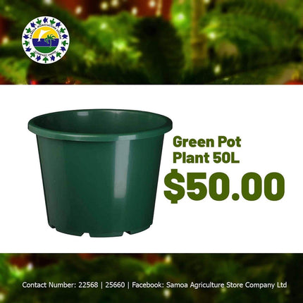 Green Pot Plant 50L "PICK UP AT SAMOA AGRICULTURE STORE CO LTD VAITELE AND SALELOLOGA SAVAII" Samoa Agriculture Store Company Ltd 