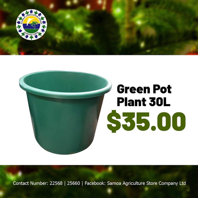 Green Pot Plant 30L "PICK UP AT SAMOA AGRICULTURE STORE CO LTD VAITELE AND SALELOLOGA SAVAII" Samoa Agriculture Store Company Ltd 