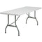 Table Folding Regular [8'] Plastic - Substitute if sold out "PICKUP FROM BLUEBIRD LUMBER & HARDWARE" Bluebird Lumber 