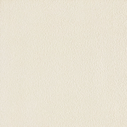 Tile Floor Ceramic Glossy 600 x 600mm 4pc IVORY WHITE - Substitute if sold out "PICKUP FROM BLUEBIRD LUMBER & HARDWARE" - Samoamarket.com